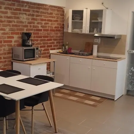 Apartment Schoenes Und Offenes Juchen